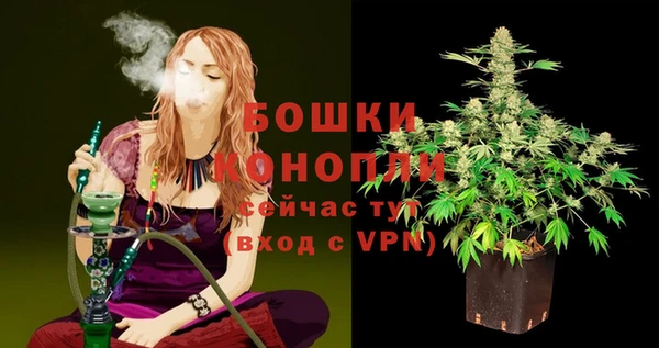 кокс Белокуриха