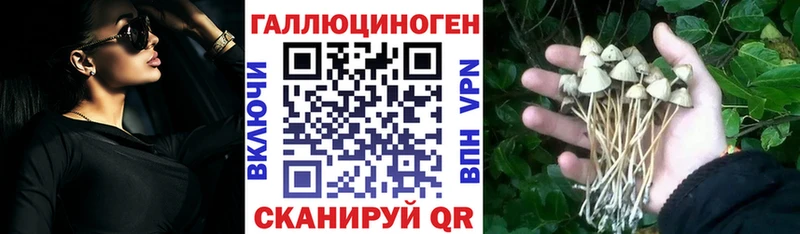Купить закладки  Олёкминск  Галлюциногенные грибы Psilocybine cubensis 